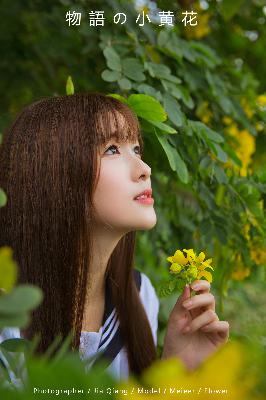 震惊！韩国三级片背后竟藏着这些秘密？数字解密大揭秘！